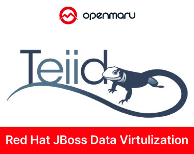 Docker and JBoss Data Virtualization