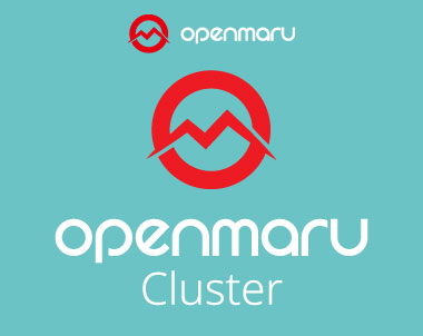 OPENMARU Cluster