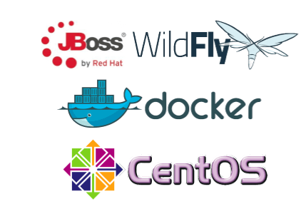 CentOS에서 Docker 컨테이너를 설치하고 Wildfly 실행하기