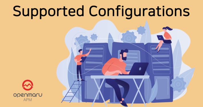 OPENMARU APM 지원환경