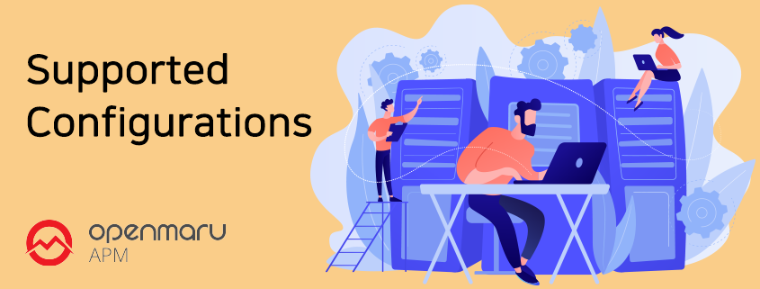 OPENMARU APM 지원환경 OPENMARU APM 지원환경