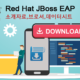 JBoss EAP 소개자료 , 브로셔 , 데이터시트 다운로드