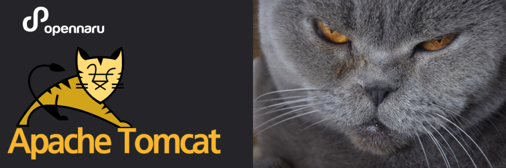 아파치 톰캣 제품 소개