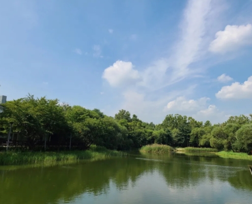 서울숲피크닉 서울숲피크닉