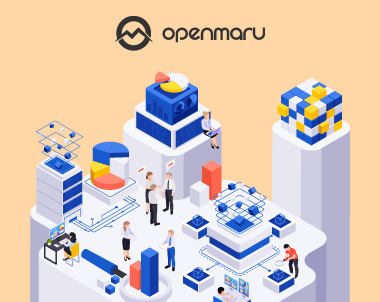 디지털플랫폼정부 구현을 위한 국회 토론회 요약