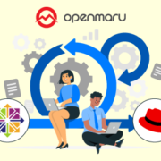 Convert2RHEL: 오픈소스 CentOS 리눅스에서 레드햇 엔터프라이즈 리눅스(RHEL)로 전환