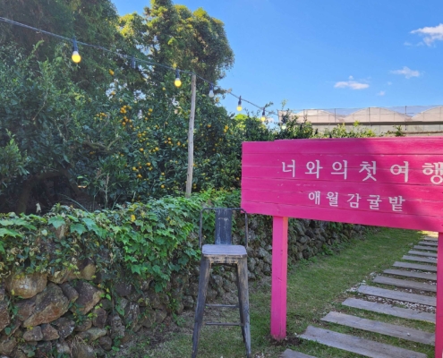 너와의 첫 여행, 카페, 매밀꽃 및 포토존 맛집