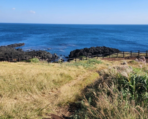 섭지코지의 풍경 저 멀리 수평선이 진짜 제주도에 왔다는 것이 실감나네요