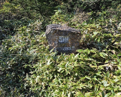 한라산 등반 고도 1500M