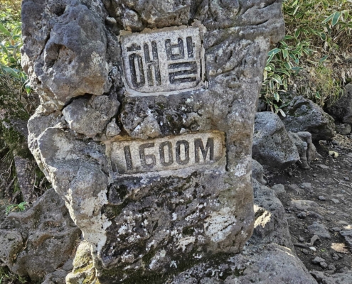 한라산 등반 고도 1600M