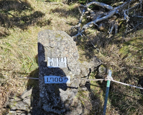 한라산 등반 고도 1700M