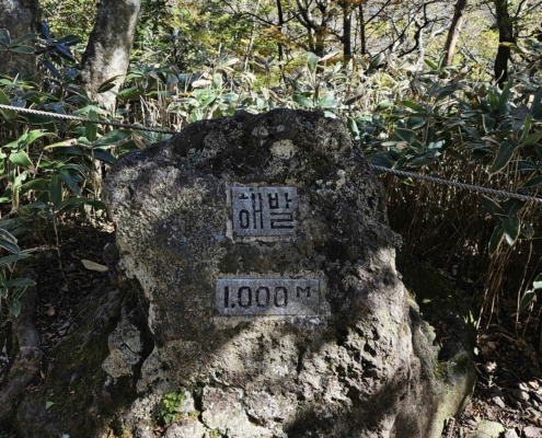 한라산 등반 고도 1000M