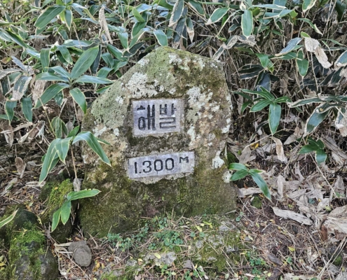 한라산 등반 고도 1300M