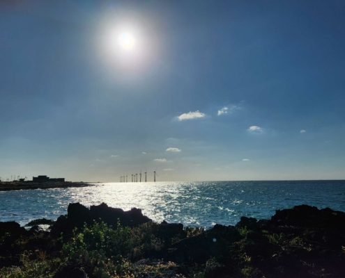 바다와 저 멀리 풍력 발전기....