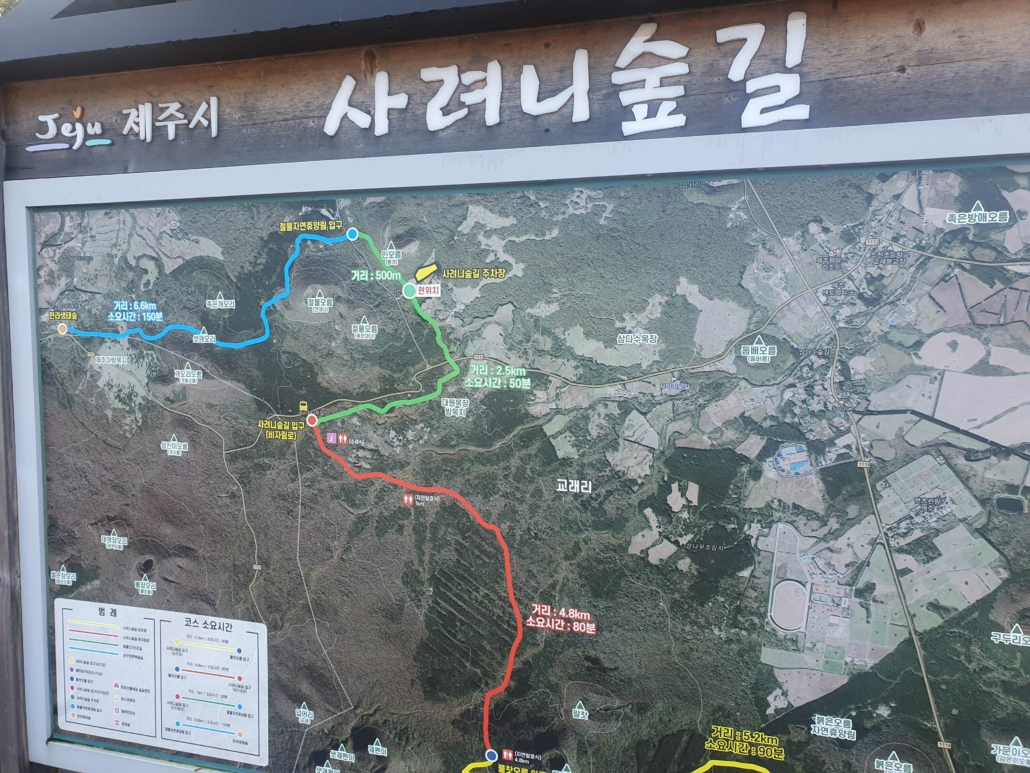 제주도 사려니숲길 입구에서....