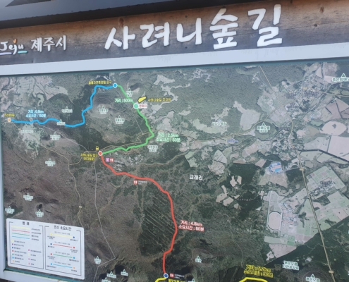 제주도 사려니숲길 입구에서....