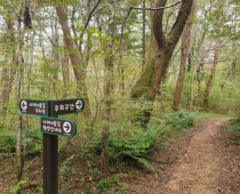 갈림길이 있어도.. 어디로 갈지 알려주네요... 인생에도 표지판이 있었으면 하네요.....
