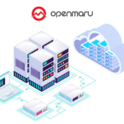 클라우드 네이티브 환경에서 가상화는 어떻게 대처하실 계획이신가요?