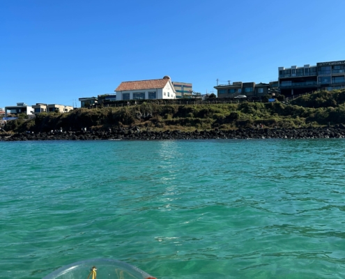 바다 멀리까지 카약을 타고... 이제 돌아가야 할 시간... 바다 멀리까지 카약을 타고... 이제 돌아가야 할 시간...