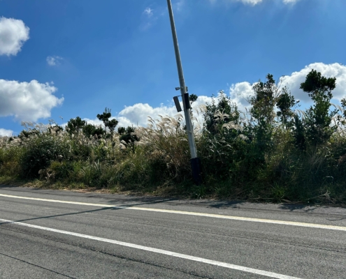 자동차보다 더 빠르게 느껴지는 카트 Speed Up!! 9.81 파크 제주