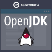 레드햇 리눅스 OpenJDK 지원 - 버전별 호환성 분석