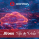 JBoss Tips & Tricks - Red Hat JBoss Enterprise Application Platform