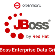 JBoss Enterprise Data Grid
