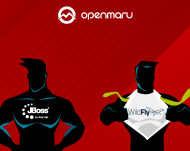 JBoss EAP와 Wildfly 차이점 - 비교 분석