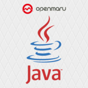 < 1x 리눅스 RPM 방식으로 JDK(Java) 설치하기