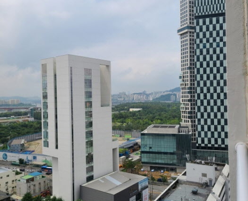 서울숲M타워 옥상에서본 서울숲 풍경