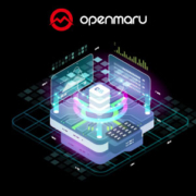 컨테이너와 VM의 공존 - 클라우드 네이티브 가상화가 필요한 이유