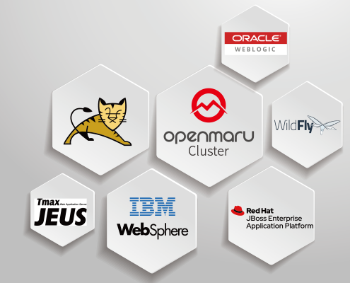 OPENMARU Cluster OPENMARU Cluster