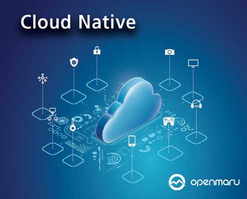 클라우드 네이티브 소개 클라우드 네이티브 소개