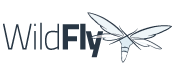 WildFly