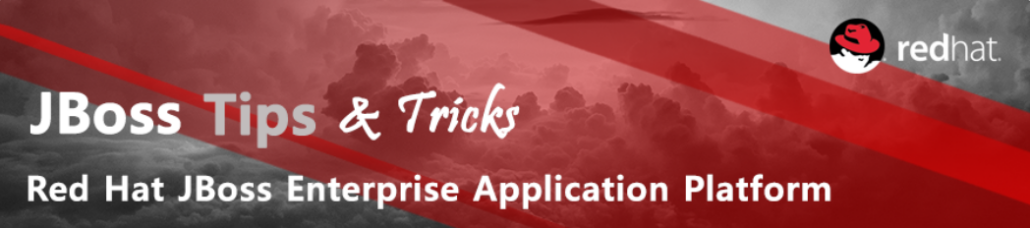 JBoss EAP(Enterprise Application Platform) 6 설치 지원 환경 JBoss EAP(Enterprise Application Platform) 6 설치 지원 환경