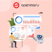 OPENMARU Sentry 파헤치기 - 공공 부문에서 효과적인 웹사이트 품질관리 방법은?