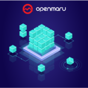 OPENMARU APM 활용 사례로 이해하는 쿠버네티스 모니터링