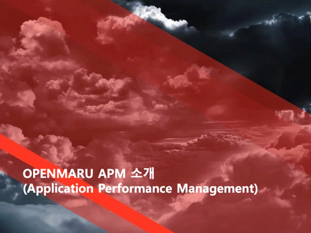 OPENMARU APM SaaS형 APM 소개자료 OPENMARU APM SaaS형 APM 소개자료
