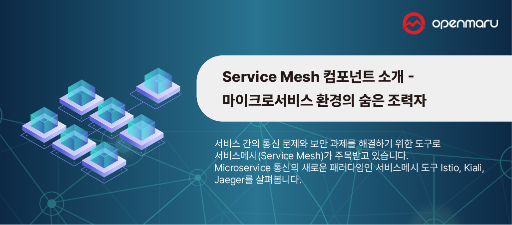 Service Mesh 소개