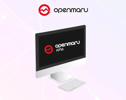 온나라 시스템 담당 주무관을 위한 OPENMARU APM