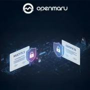 안전한 서비스 통신을 위한 필수 요소, mTLS의 이해와 필요성