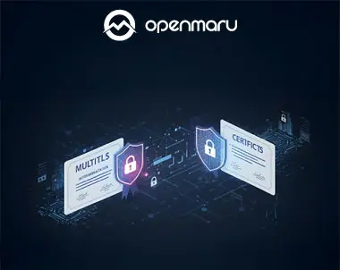 안전한 서비스 통신을 위한 필수 요소, mTLS의 이해와 필요성