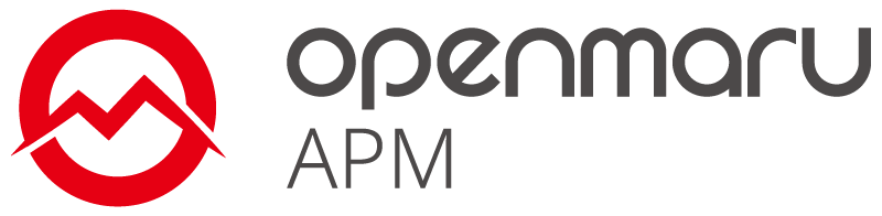 OPENMARU APM BI