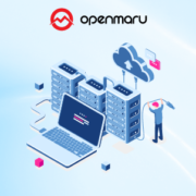 탈 VMWare에 따른 클라우드 네이티브 가상화 대두