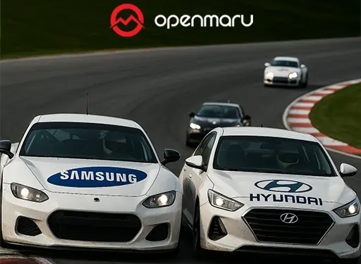 비즈니스 판도를 바꾸는 힘: 커브 추월 전략 (Curve Strategy)