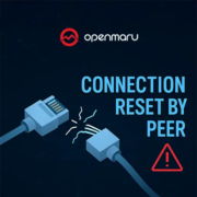 connection reset by peer