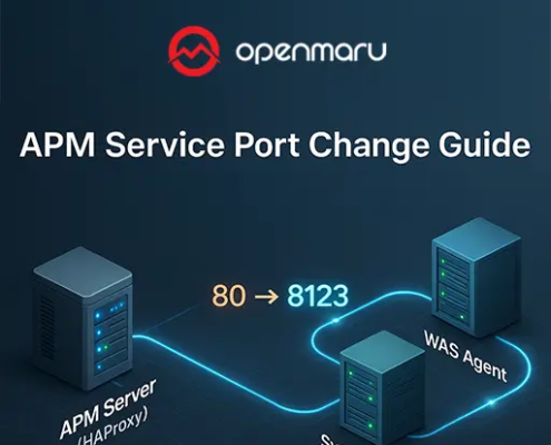 APM 서비스 포트 변경 방법 가이드