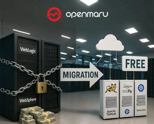라이선스 비용 ZERO! WebLogic/WebSphere에서 오픈소스 WAS로 안전하게 전환하기