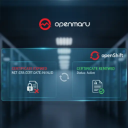 OpenShift Ingress 인증서 갱신 방법