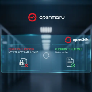 OpenShift Ingress 인증서 갱신 방법